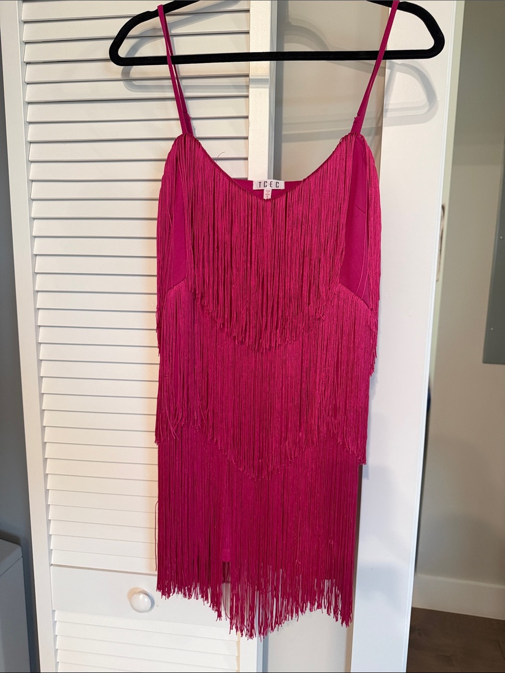 TCEC Hot Pink Fringe Slip Dress